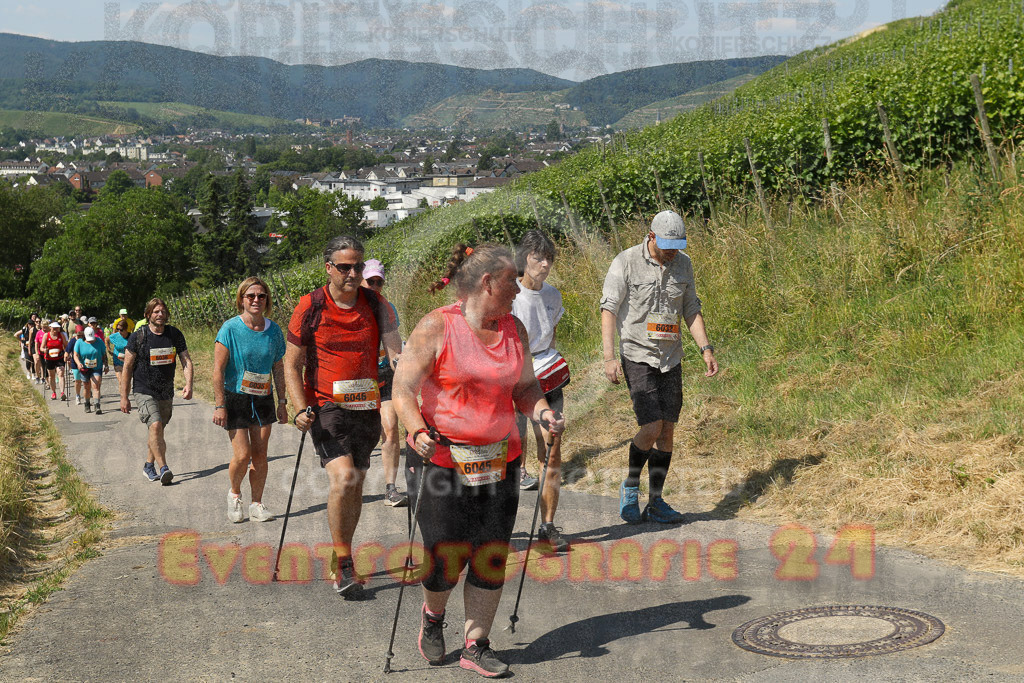230617_1108_EV9_7686 | Sportfotografie im Rhein-Sieg Kreis, Köln, Bonn, NRW, Rheinland Pfalz, Hessen, etc. Unser Tätigkeitsfeld umfasst den Laufsport vom Volkslauf über den Marathon, Duathlon, Triathon bis zum Ultralauf wie Kölnpfad Ultra oder Schindertrail.