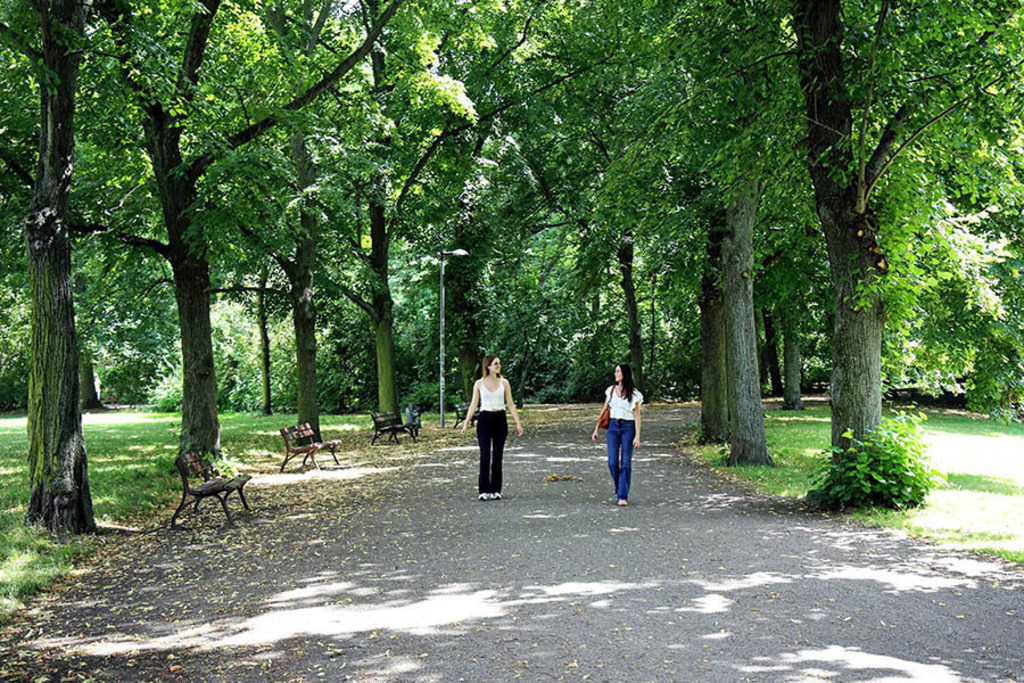 Mariannenpark - Waldweg | Entdecke über 20 Kategorien Leipzig-Motive: Foto-Downloads, hochwertige Poster, Leinwand- & Fine-Art-Prints. Jetzt Lieblingsfoto im Bildlexikon Leipzig Shop bestellen!