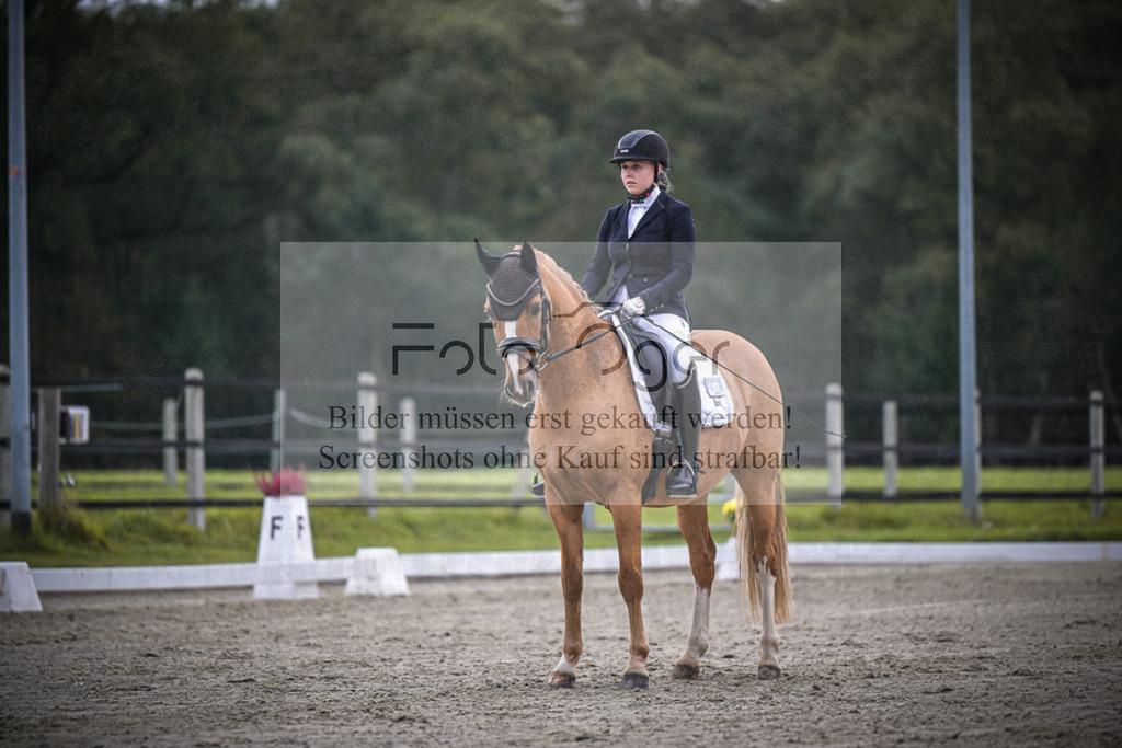 DOS_2003 | Entdecke hochwertige Reitturnierfotos von Foto Oger. Professionell, emotional und authentisch – jetzt Lieblingsmomente im Shop bestellen.Deutschlandweite Turnierfotografie. - Realisiert mit Pictrs.com