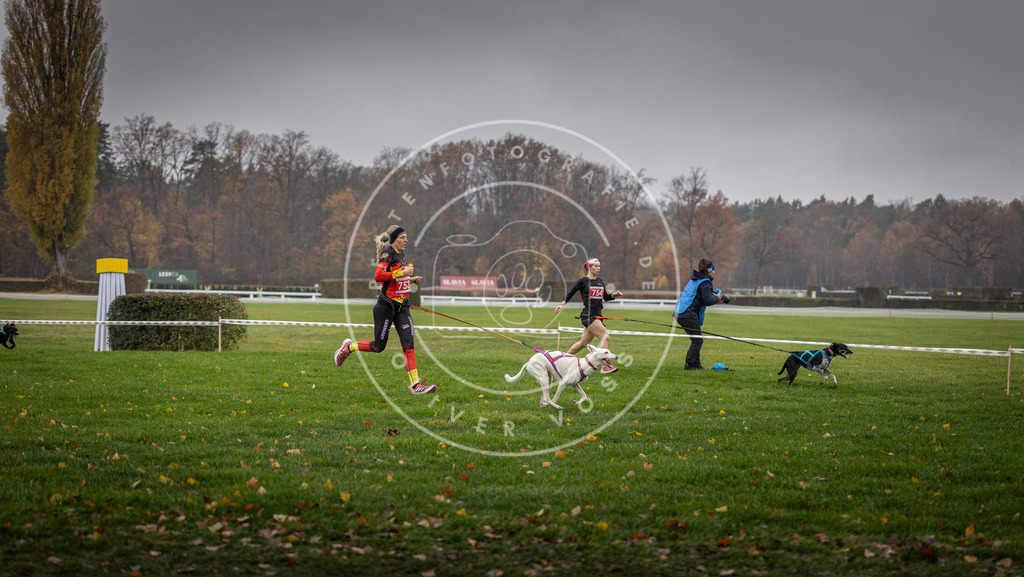 CaniXpix_DV3A8882 | Hundefotografie, Tierfotograf, Pfotenfotografie, Fotoshooting Hund, Hunde Portrait, Hundesport, Hundeportraits, Heideshooting, Hunde, Sportfotograf, Hundefotograf, Turnierhundsport, THS,  - Realisiert mit Pictrs.com