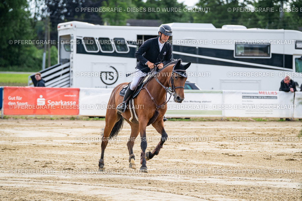 DSC07404 | Pferdegrafie