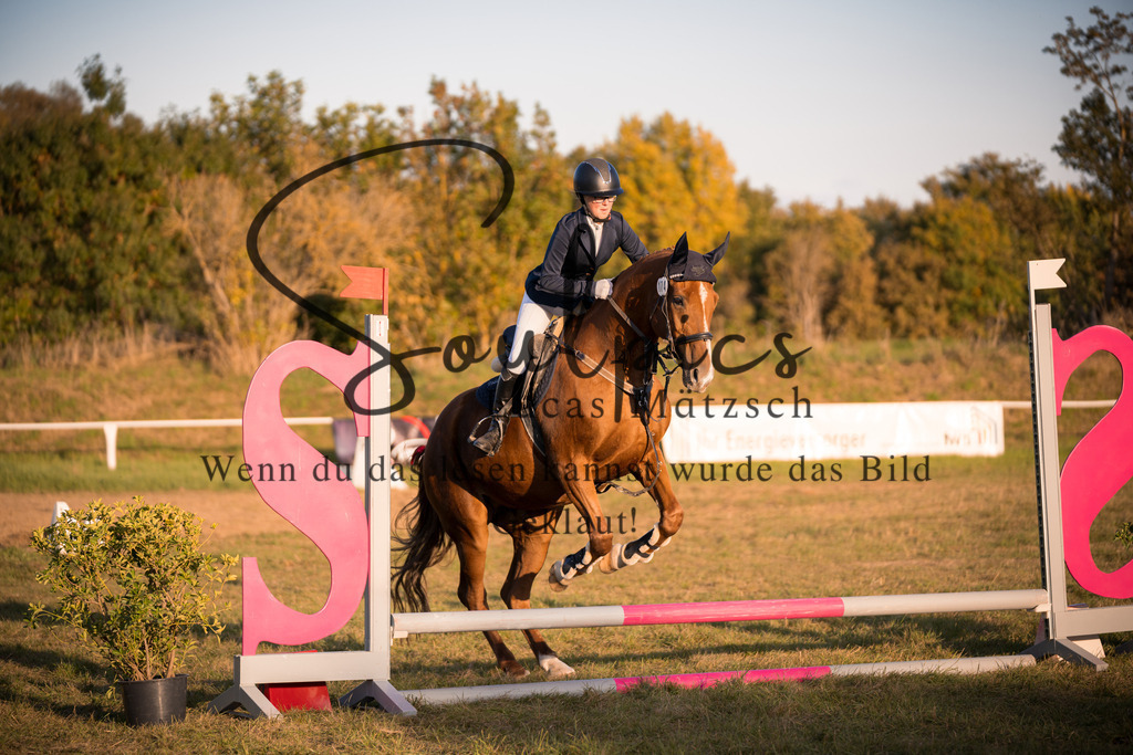 A7V04793 | Pferdefotograf