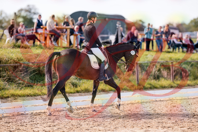 2026_10_03_Siefer-Hof_132530_Z81_76249765 | Professionelle Reitsport-, Turnier- und Eventfotografie von Robert Broda. Galerien mit ausgewählten und bearbeiteten Bildern direkt online ansehen und bestellen.