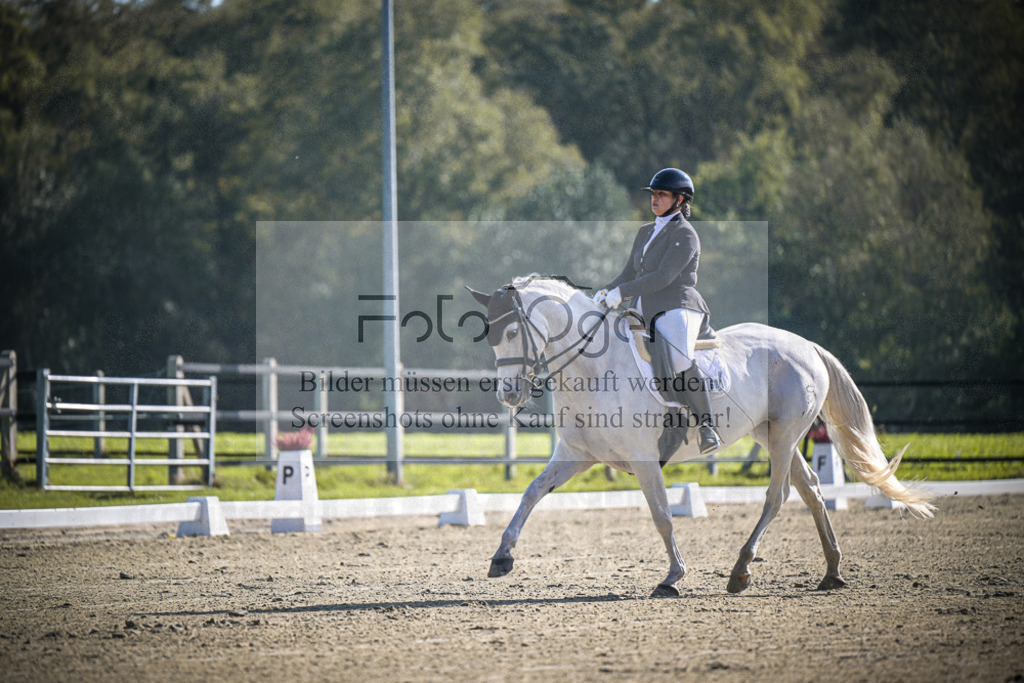 DOS_0323 | Entdecke hochwertige Reitturnierfotos von Foto Oger. Professionell, emotional und authentisch – jetzt Lieblingsmomente im Shop bestellen.Deutschlandweite Turnierfotografie. - Realisiert mit Pictrs.com