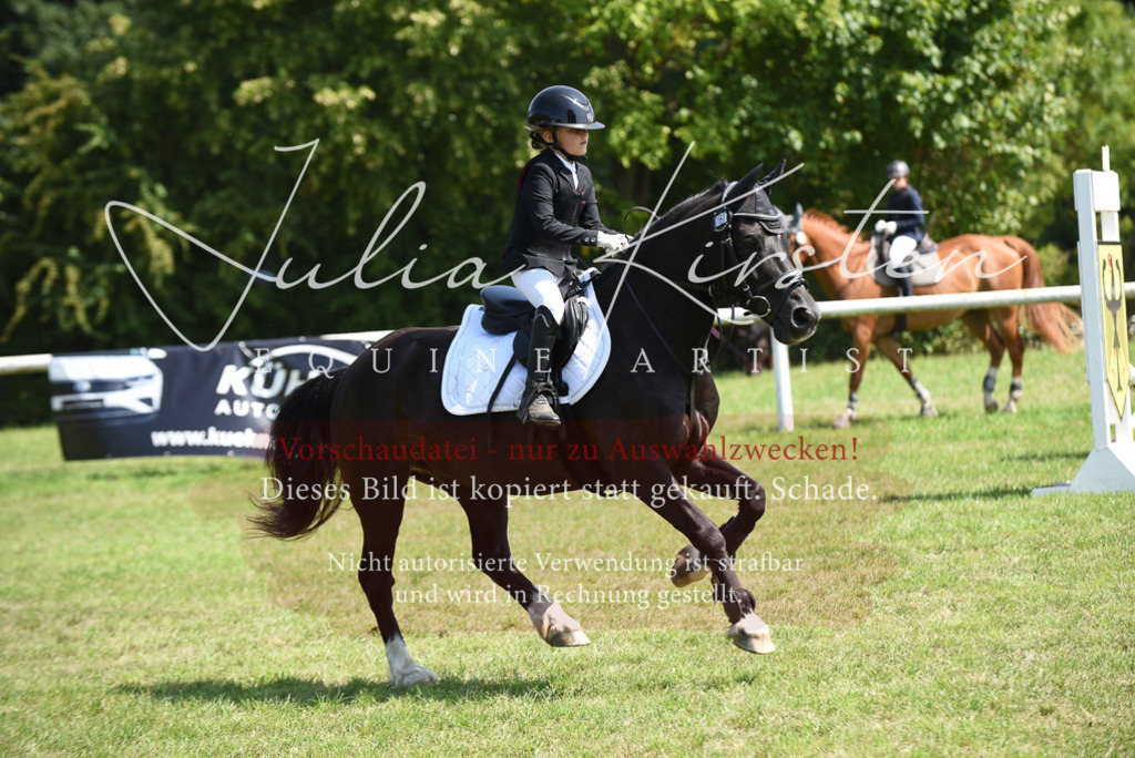 DSC_9971 | Pferde- und Turnierfotografie in Westsachsen. Pferdeportraits, Auftragszeichnungen und intuitive Kunst.
