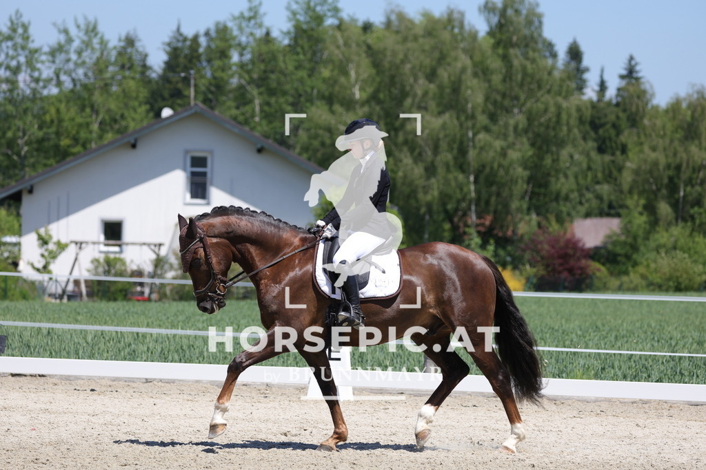 0P6A9347 | Willkommen bei Brunnmayr - Design & Fotografie – Ihrem Spezialisten für Reitturniere und Pferdeveranstaltungen in Oberösterreich, Salzburg und Bayern! Seit über 17 Jahren sind wir leidenschaftlich dabei.