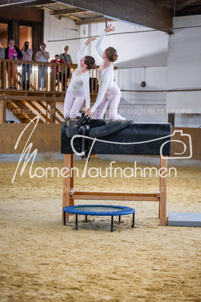 Holzpferd-103 | MomenTaufnahmen Pferdesportfotos