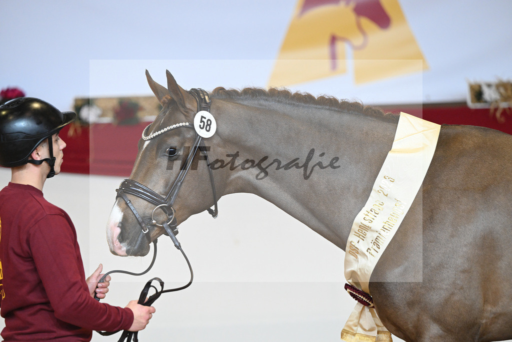 Kat-Nr. 58 Fuerst Samarant_Beckmann_1231926 | hf-fotografie - Realizzato con Pictrs.com
