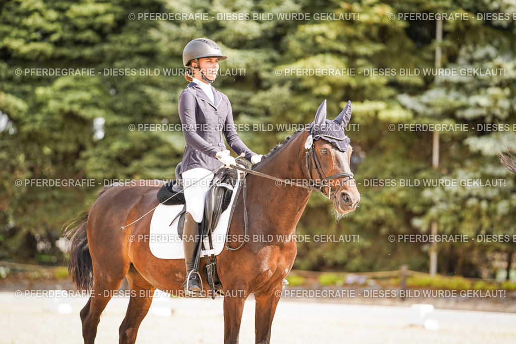 DSC01497 | Pferdegrafie