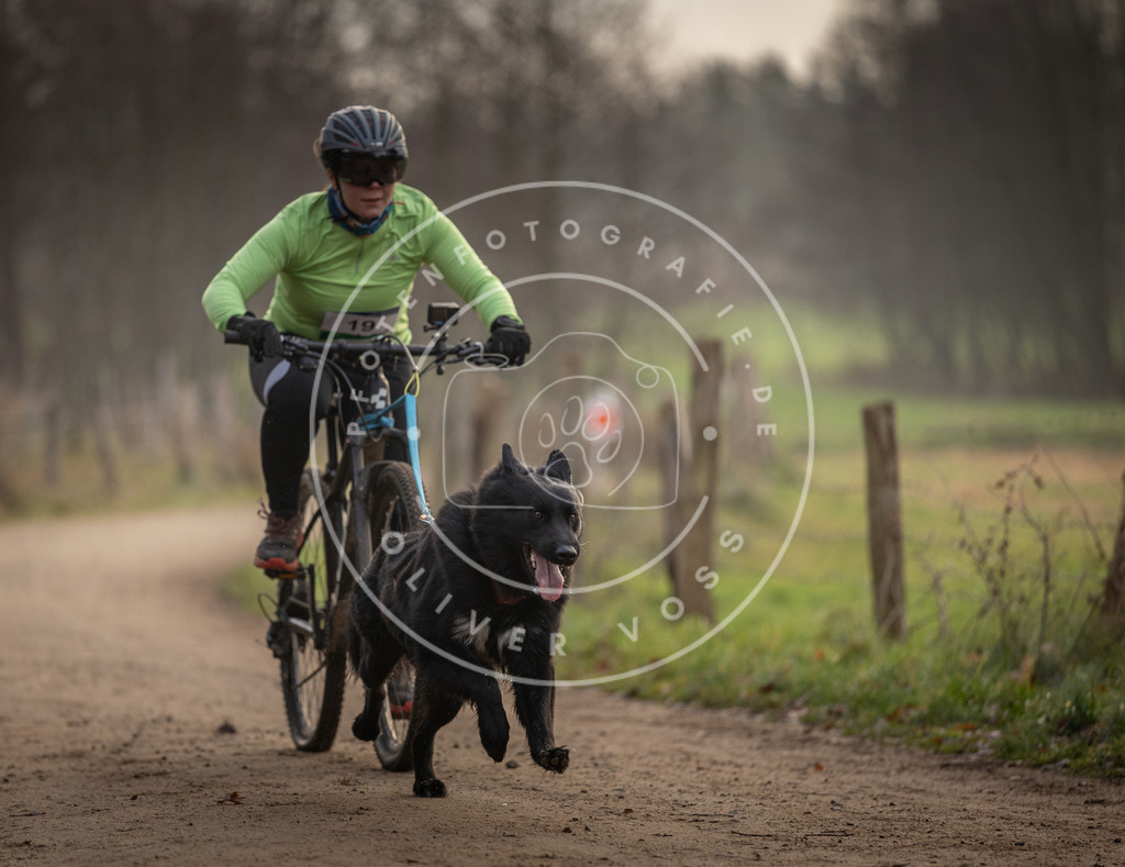 Pfotenfotografie_DV3A1947 | Hundefotografie, Tierfotograf, Pfotenfotografie, Fotoshooting Hund, Hunde Portrait, Hundesport, Hundeportraits, Heideshooting, Hunde, Sportfotograf, Hundefotograf, Turnierhundsport, THS,  - Realisiert mit Pictrs.com