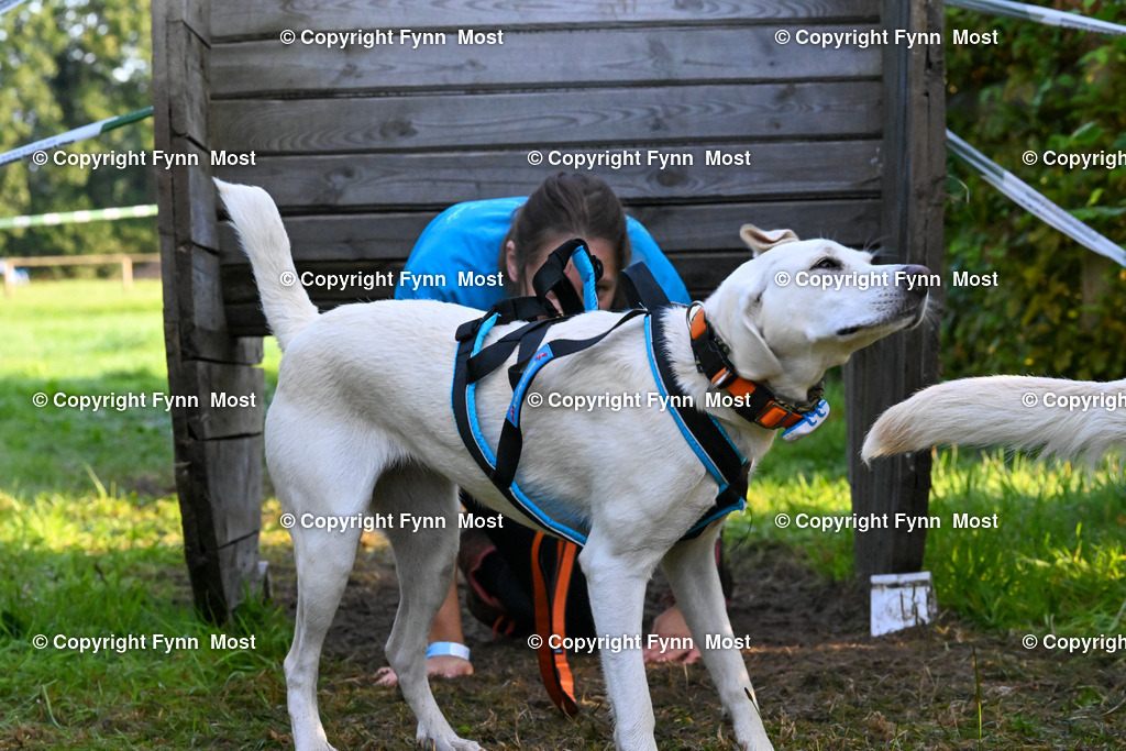 DSC_4610 | Hallo und herzlich Willkommen auf meiner Shop-Seite Fynn Most.

Ich wünsche Dir viel Spaß beim stöbern durch die Bilder, wenn Du Fragen hast oder Bilder vermisst, kannst du mir gerne eine Nachricht schreiben. - Realisiert mit Pictrs.com
