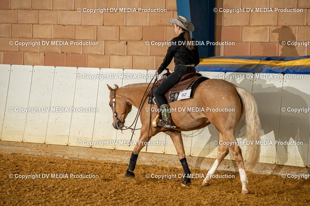 MIT00669 | dv-media-shop - Realisiert mit Pictrs.com