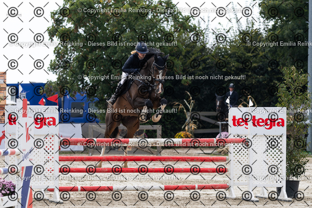 CL5A5062 | Emilia Reinking Fotografie - Realisiert mit Pictrs.com