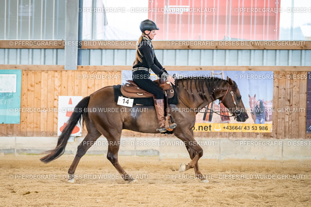 DSC09230 | Pferdegrafie