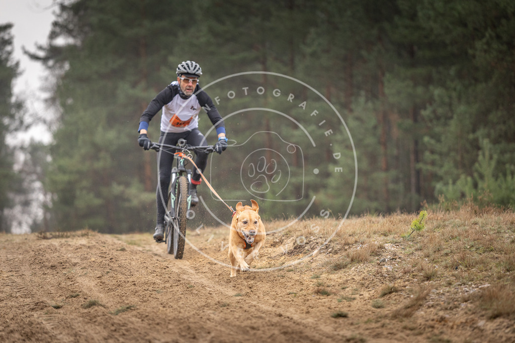 Pfotenfotografie_DV3A3979 | Hundefotografie, Tierfotograf, Pfotenfotografie, Fotoshooting Hund, Hunde Portrait, Hundesport, Hundeportraits, Heideshooting, Hunde, Sportfotograf, Hundefotograf, Turnierhundsport, THS,  - Realisiert mit Pictrs.com