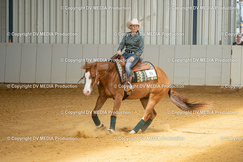 MIT00069 | dv-media-shop - Realisiert mit Pictrs.com