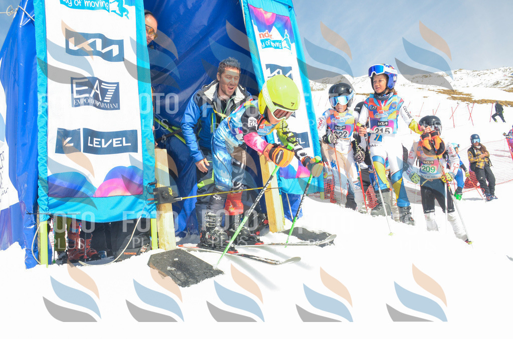 _ELE6691 | holidayphoto