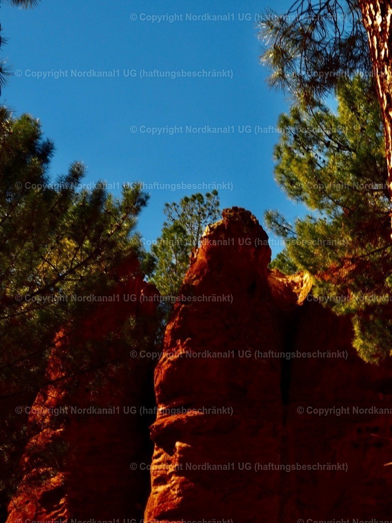 IMG_2924 | OLYMPUS DIGITAL CAMERA          - Realisiert mit Pictrs.com