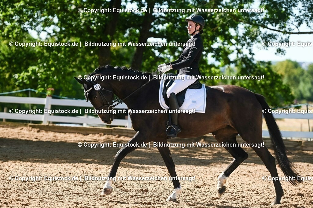 20230715_06_Dressurpferdeprfg. Kl.A_0368 | equistock