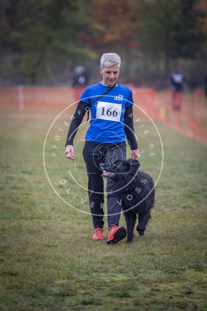 Pfotenfotografie_DV3A8944 | Hundefotografie, Tierfotograf, Pfotenfotografie, Fotoshooting Hund, Hunde Portrait, Hundesport, Hundeportraits, Heideshooting, Hunde, Sportfotograf, Hundefotograf, Turnierhundsport, THS,  - Realisiert mit Pictrs.com