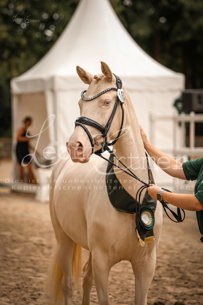 07.So00108 | Leoni Ertmer Photography - Realisiert mit Pictrs.com