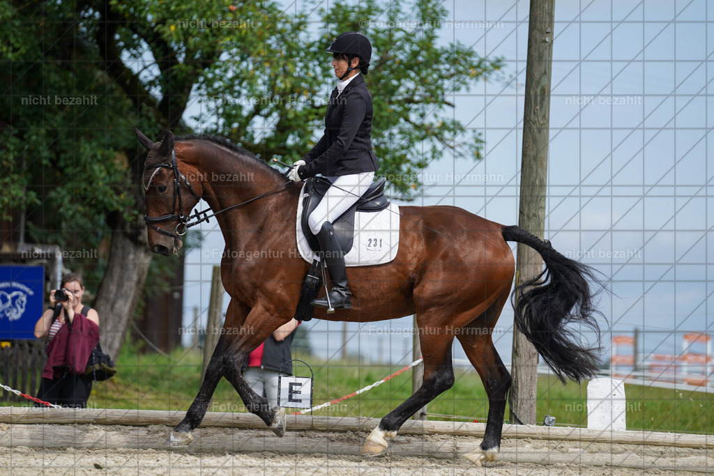 20230826-FAH05133 | Forstinning, 2023, Dressurturnier, Turniersportbilder, Turnierfotografen Bayern, Fotoagentur Herrmann, Reitsportfotografie, Turnierbilder