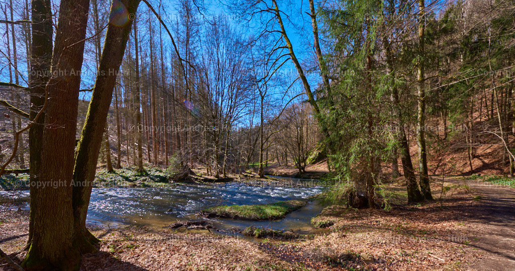 Bei den Märzenbecherwiesen im Polenztal 02 | Bedeutsame Landschaften Deutschlands - Realisiert mit Pictrs.com