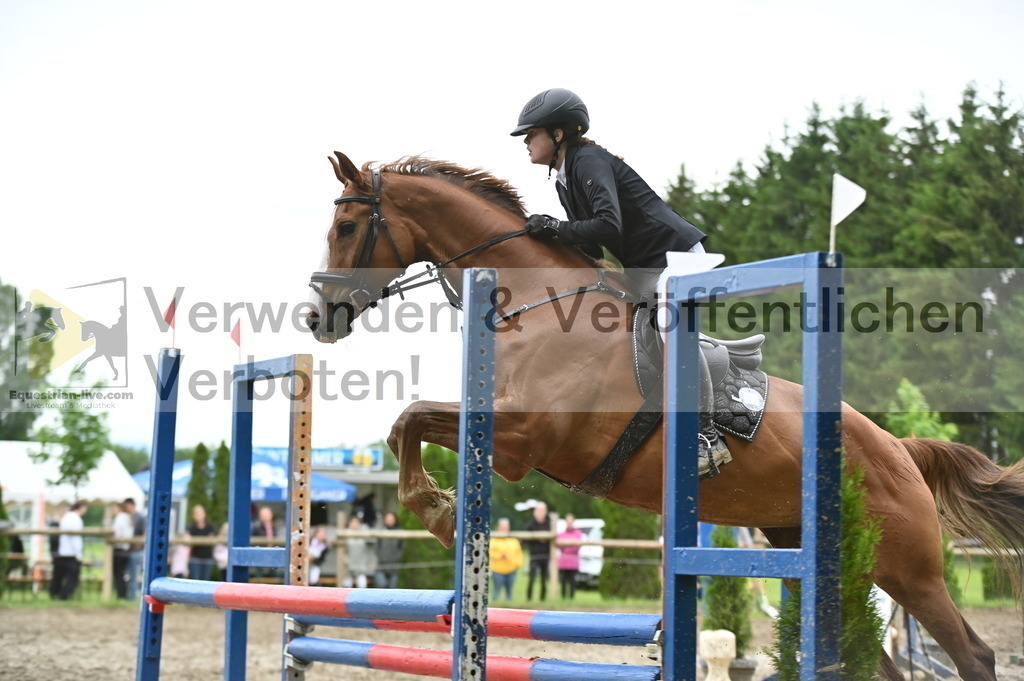 DSC_0562 | equestrian-live-com