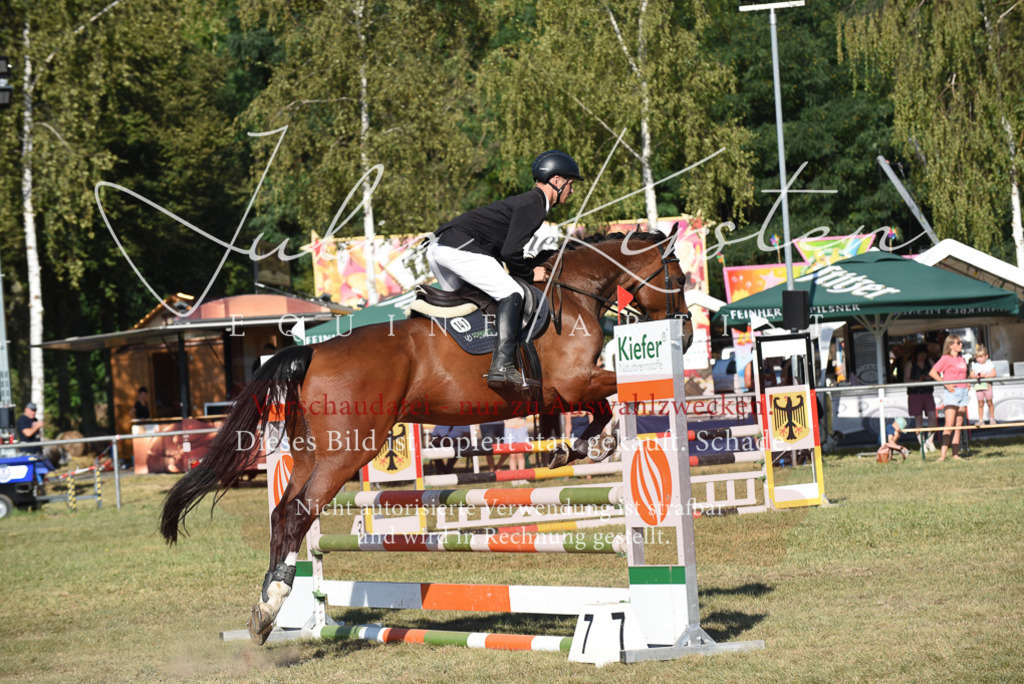 DSC_5357 | Pferde- und Turnierfotografie in Westsachsen. Pferdeportraits, Auftragszeichnungen und intuitive Kunst.