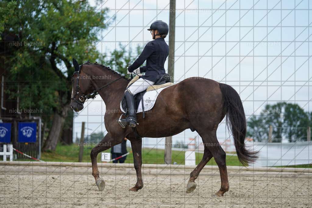 20230826-FAH05203 | Forstinning, 2023, Dressurturnier, Turniersportbilder, Turnierfotografen Bayern, Fotoagentur Herrmann, Reitsportfotografie, Turnierbilder