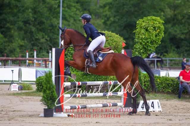 DKP41554 | Turniersportfotografie; Pferdefotografie; Dressurfotografie