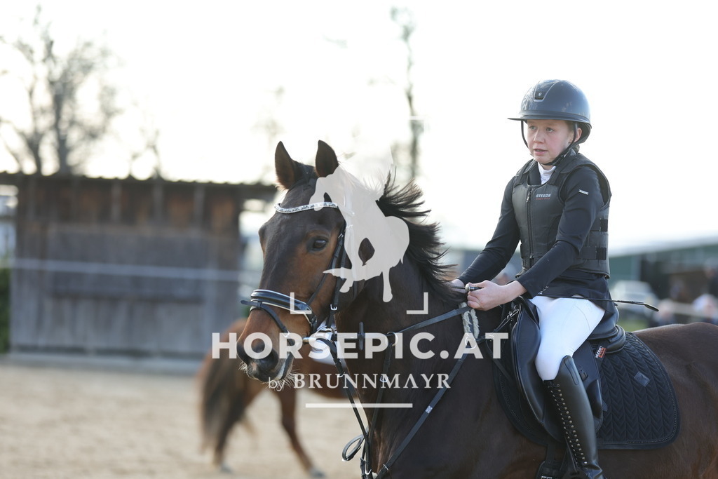 0P6A9106 | Willkommen bei Brunnmayr - Design & Fotografie – Ihrem Spezialisten für Reitturniere und Pferdeveranstaltungen in Oberösterreich, Salzburg und Bayern! Seit über 17 Jahren sind wir leidenschaftlich dabei.