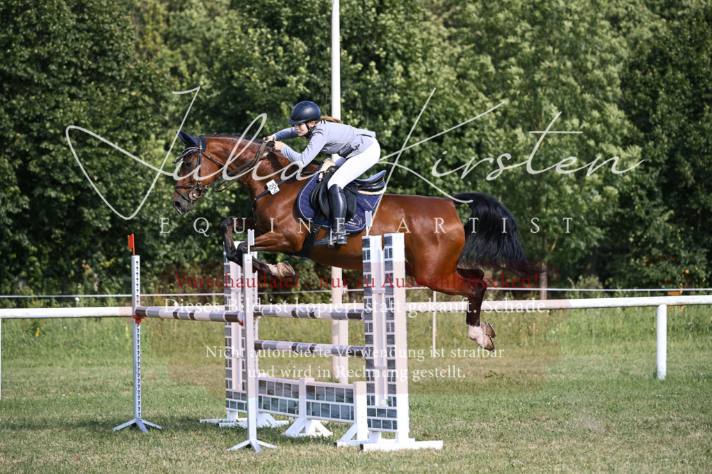 DSC_1353 | Pferde- und Turnierfotografie in Westsachsen. Pferdeportraits, Auftragszeichnungen und intuitive Kunst.