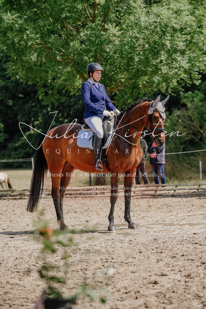 DSC_1270 | Pferde- und Turnierfotografie in Westsachsen. Pferdeportraits, Auftragszeichnungen und intuitive Kunst.