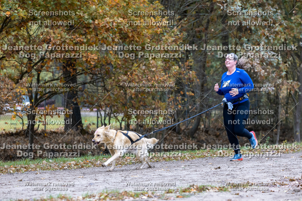 Dog Paparazzi - SD CaniX Championship 2025-417 | Dog Paparazzi Jeanette Grottendiek Fotografie & Videografie - Realisiert mit Pictrs.com