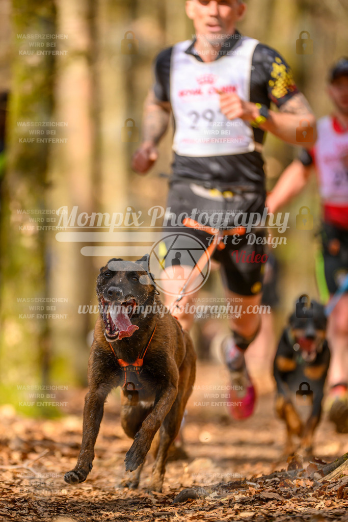 MompixPhotography_Habay2025_SA_CCC-142 | PayLife