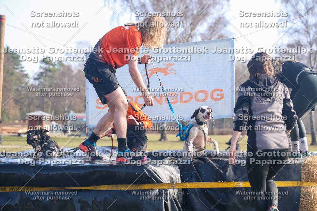 Dog Paparazzi - Strongdog North Mrz26-968 | Dog Paparazzi Jeanette Grottendiek Fotografie & Videografie - Realisiert mit Pictrs.com