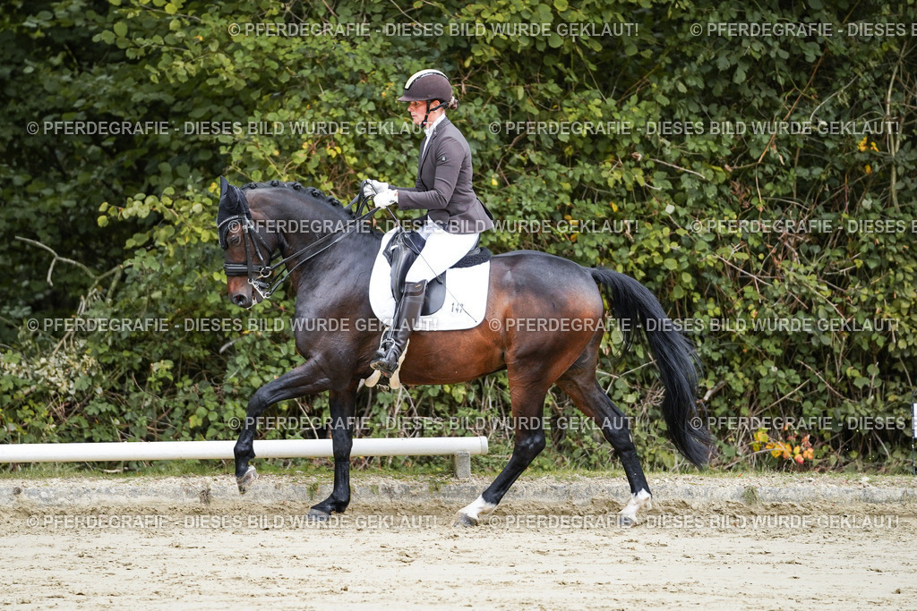 DSC08756 | Pferdegrafie