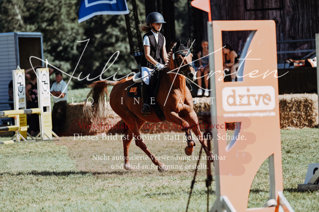 DSC_6858 | Pferde- und Turnierfotografie in Westsachsen. Pferdeportraits, Auftragszeichnungen und intuitive Kunst.
