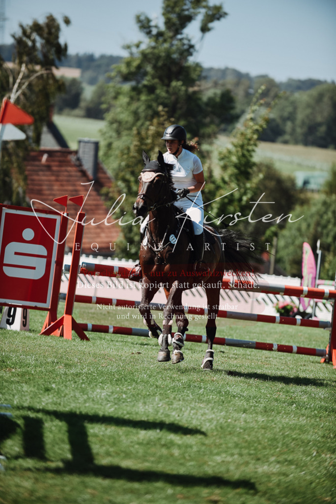 DSC_3246 | Pferde- und Turnierfotografie in Westsachsen. Pferdeportraits, Auftragszeichnungen und intuitive Kunst.