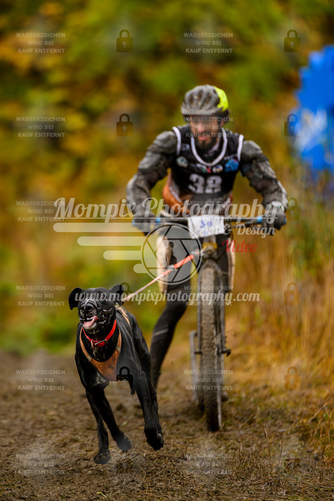 MompixPhotography_ICF_WC_2024_SA_DS_-73 | PayLife