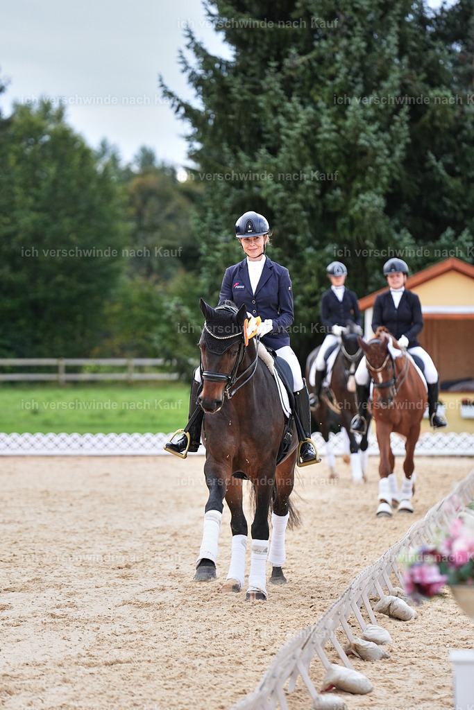 3-Siegerehrung-Dressur M_-Marixx-2063 | working equitationturnier fotograf videograf stoibphotography marixx film working equitation deutschland reitsport turnierfotografie eventfotografie equestrian events