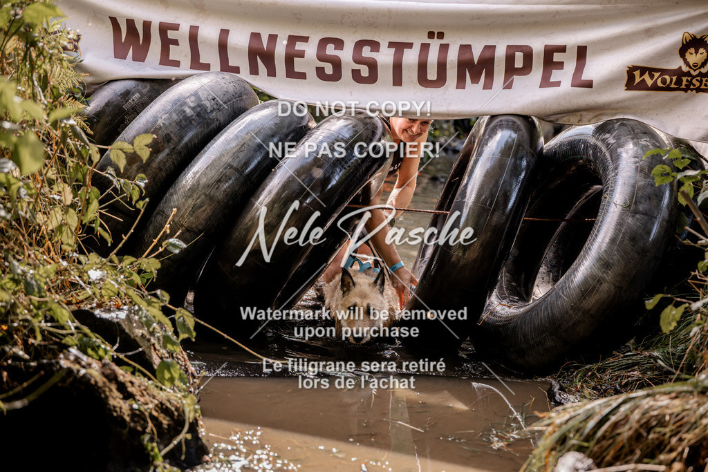 nelerasche_Hunsrück2026_Sa1400-1500_217 | nelerasche