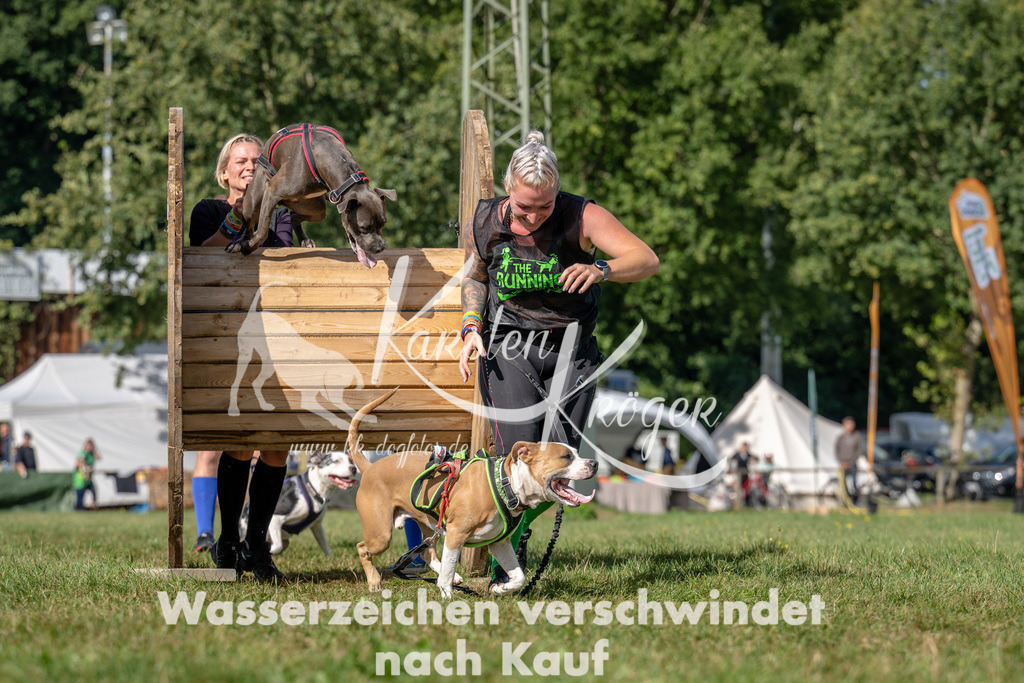 1119_ZZ94535 | kk-dogfotos