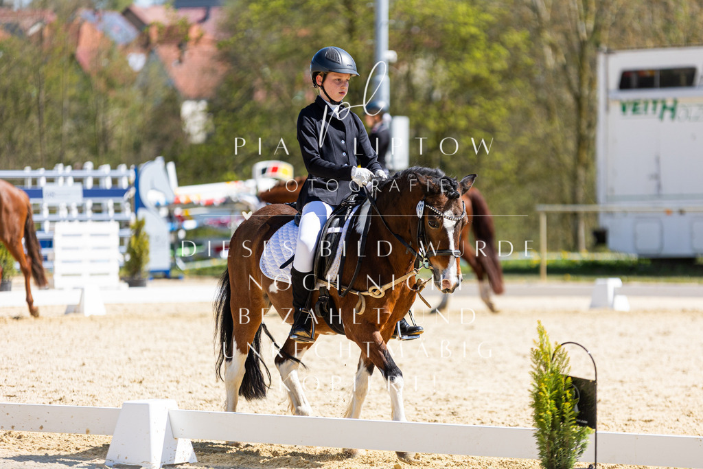 IMGT1217 | pl-fotografie