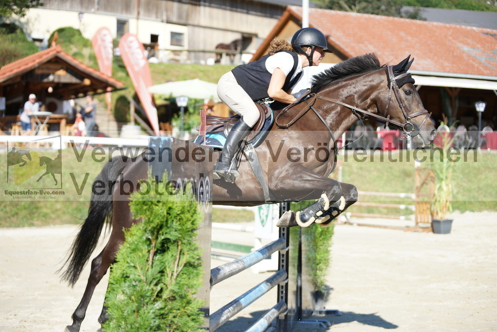 DSC02268 | equestrian-live-com