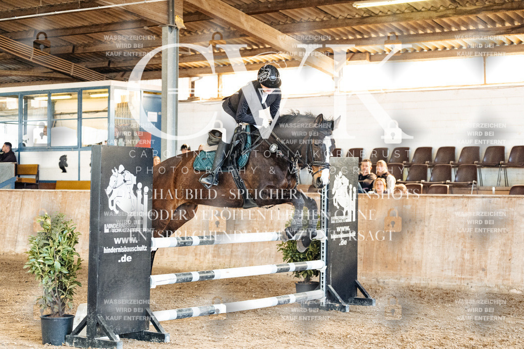 CK905342 | Turnierfotografie Pferdefotografie Trier Rheinland-Pfalz Pferdesport Reitsport Tierfotografie Sportfotografie Pferdevideo Pferdevideografie Equestrianvideography equestrianphotography  - Realized with Pictrs.com
