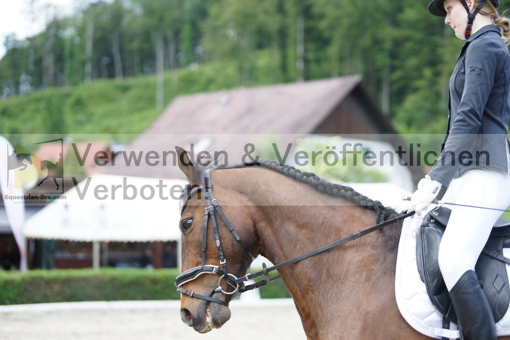 DSC05367 | equestrian-live-com