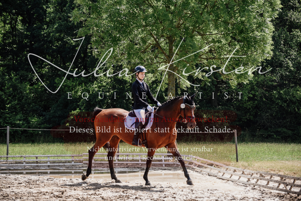 DSC_0459 | Pferde- und Turnierfotografie in Westsachsen. Pferdeportraits, Auftragszeichnungen und intuitive Kunst.