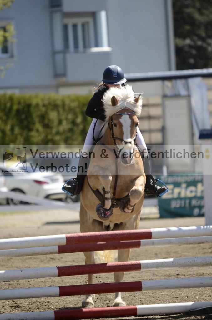 _DSC8571 | equestrian-live-com